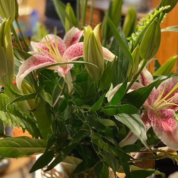 Meet the Posher - Picture 6 of 6